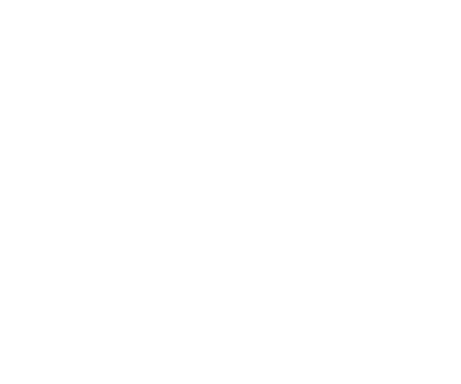 Voyage Wealth Strategies